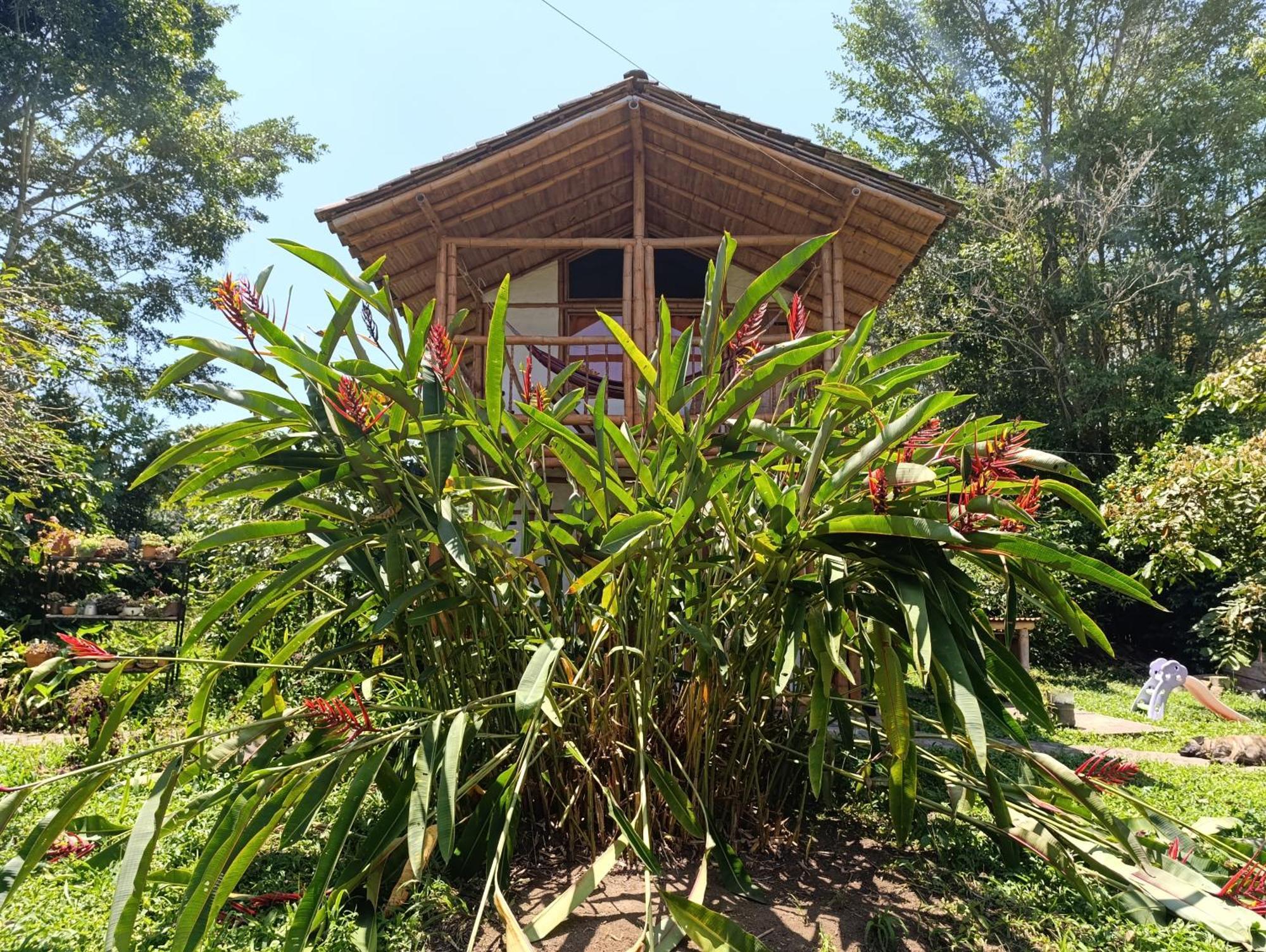 Casa Entera Finca Cometa San Agustin  Exterior photo