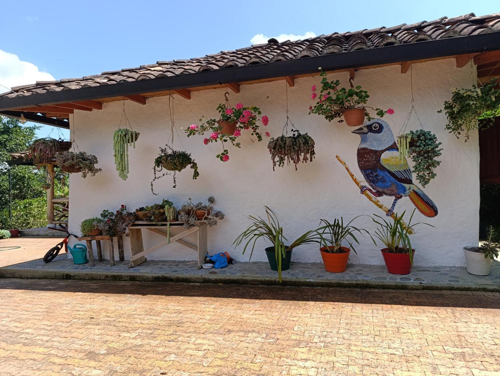 Casa Entera Finca Cometa San Agustin  Exterior photo
